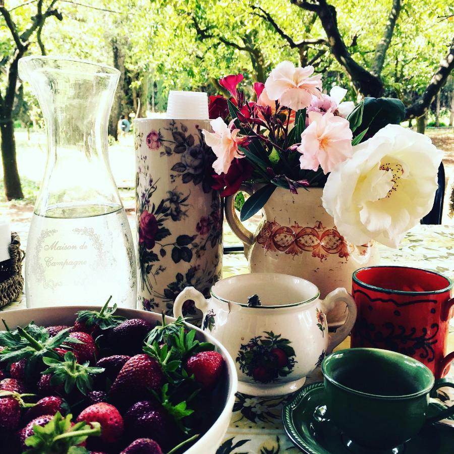 Casina Mozart Lecce Bed and Breakfast Magliano Εξωτερικό φωτογραφία