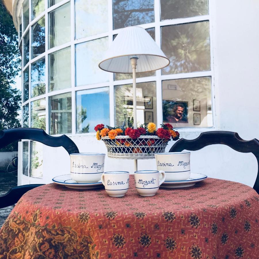 Casina Mozart Lecce Bed and Breakfast Magliano Εξωτερικό φωτογραφία