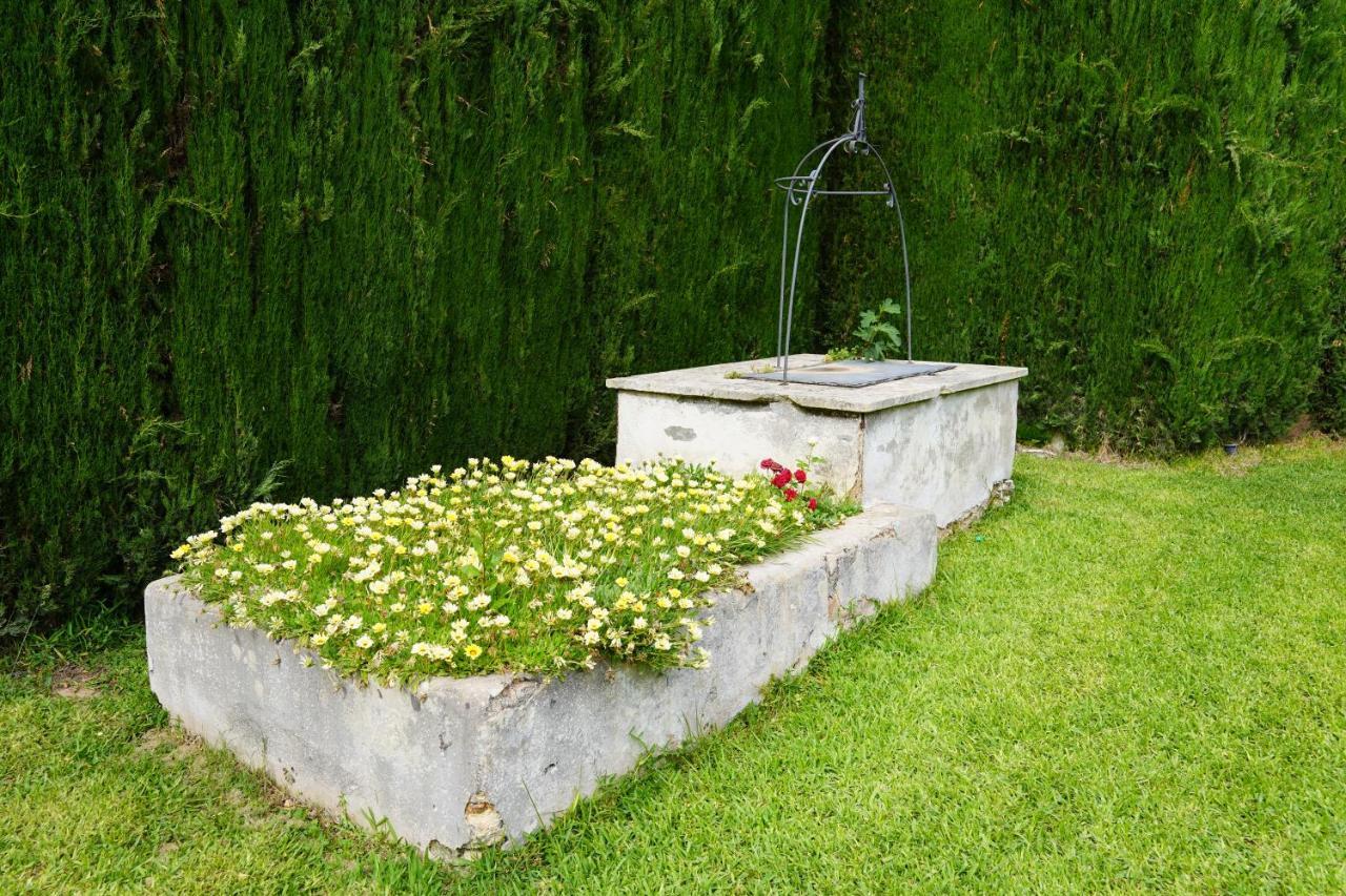 Casina Mozart Lecce Bed and Breakfast Magliano Εξωτερικό φωτογραφία